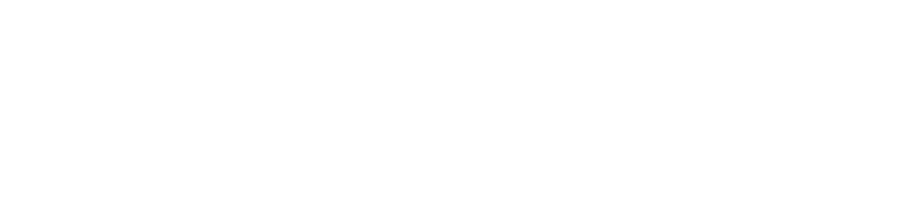 Tortoise and Hare Wellness